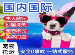 赣州黄金机场空运国际宠物托运 【国